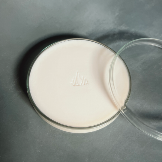 Anis étoilé × Pistache × Cèdre du Liban / Diffuseur solide