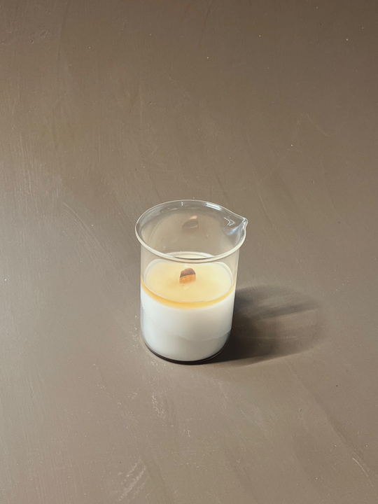 Cannelle × Sapin / Bougies "Béchers"