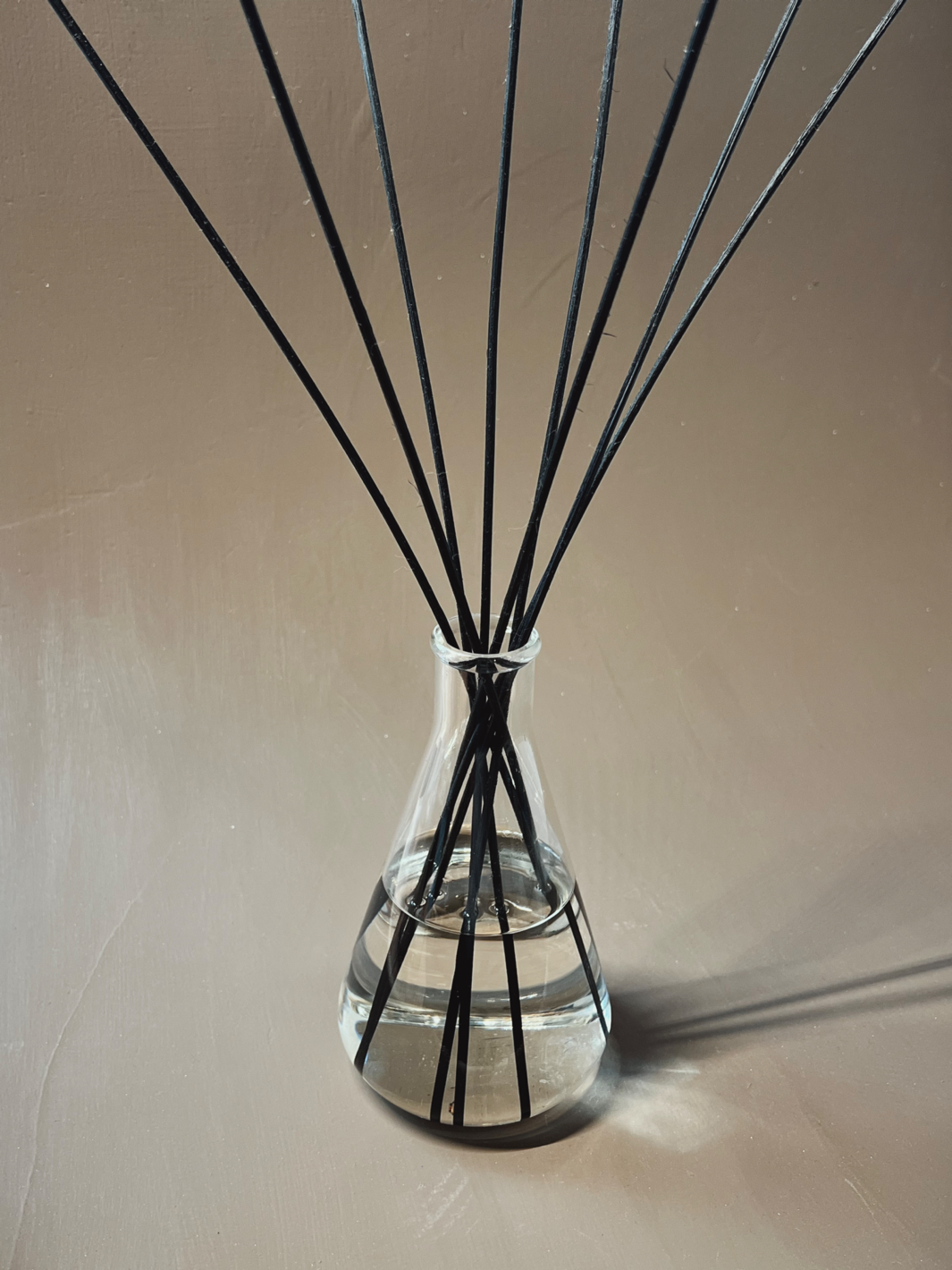 Cannelle × Sapin / Diffuseurs liquides