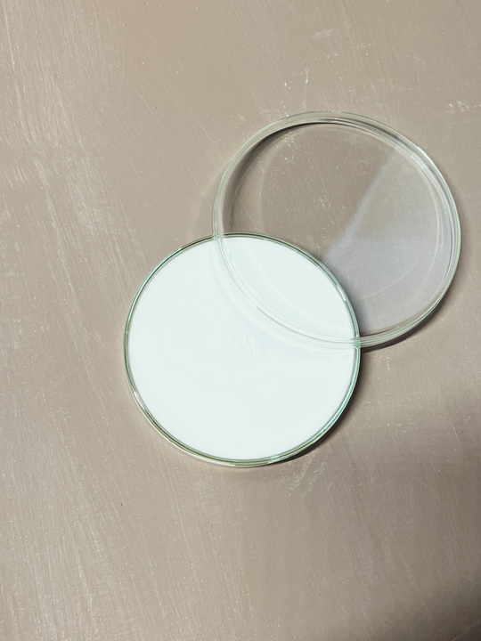 Cannelle × Sapin / Diffuseur solide